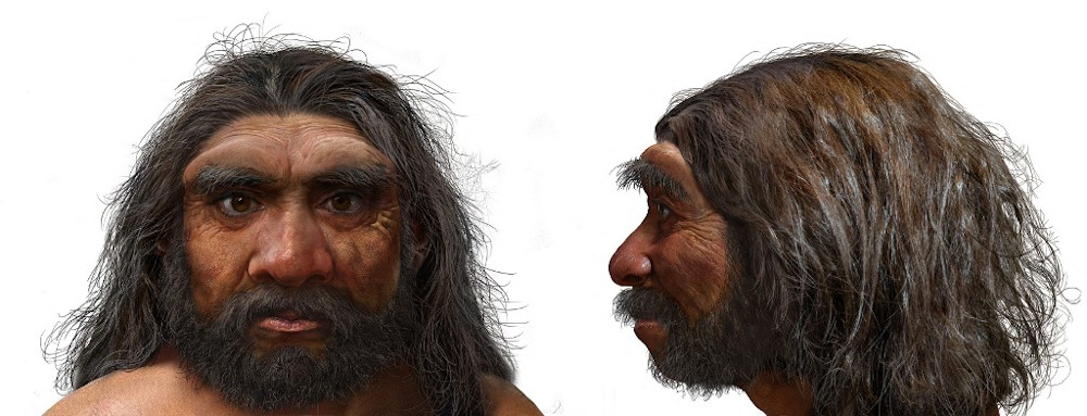 A handout photo obtained on June 25, 2021 from EurekAlert! shows an illustration of a portrait of Homo longi or u00e2u20acu02dcDragon Manu00e2u20acu2122. u00e2u20acu201d AFP pic