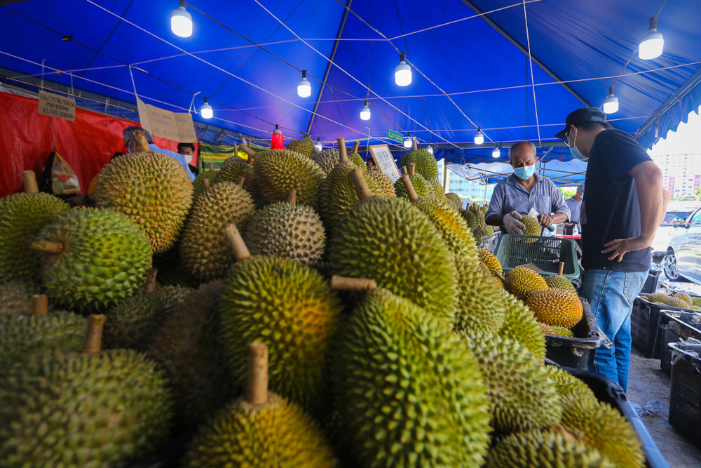 Durian fruits are displayed for sale at a roadside shop at Taman Medan in Petaling Jaya, June 24, 2021. u00e2u20acu201d Picture by Yusof Mat Isa