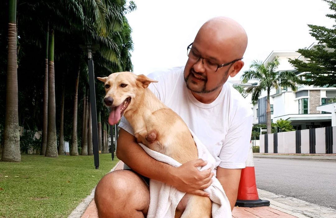Harith said Marvella had been a u00e2u20acu02dcloving companionu00e2u20acu2122 to him and his family since they adopted her in June last year. u00e2u20acu201d Picture via Instagram/harithiskandernn