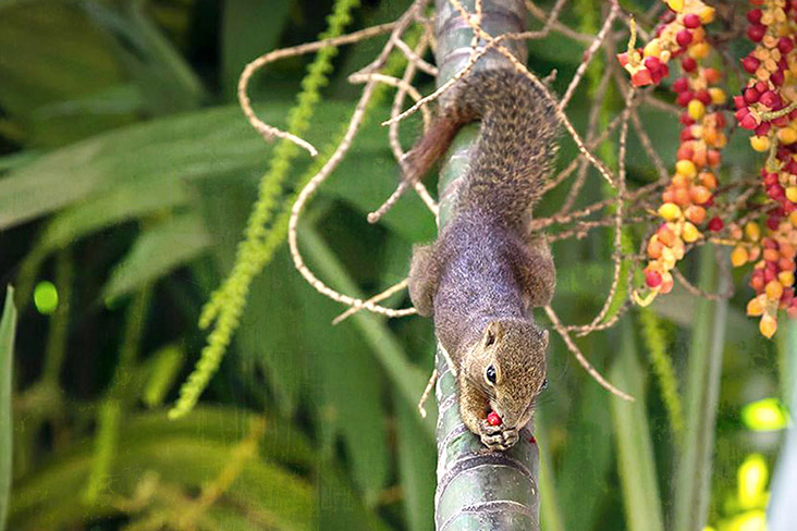 Habit #3: Stretch... and get some sun in your garden.