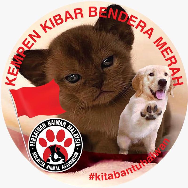 Anyone struggling to get pet food should not be ashamed to raise a red flag outside their homes to get help. u00e2u20acu201d Picture by Malaysia Animal Association