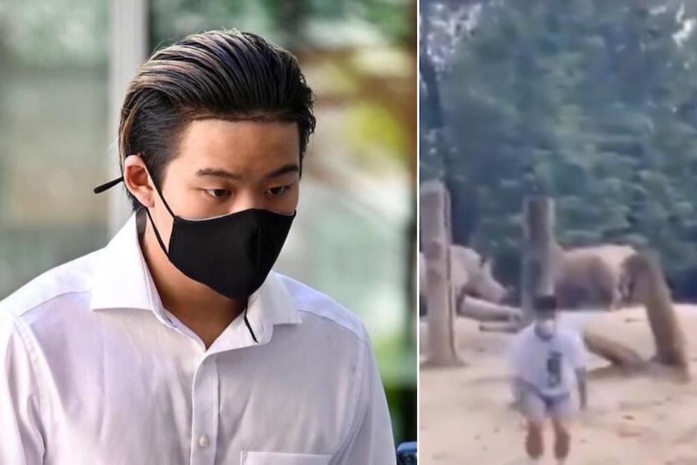 Ralph Wee arriving at the State Courts (left) on July 12, 2021, and a screengrab of a TikTok video (right), where the teenager is seen getting in the rhinoceros enclosure. u00e2u20acu201d Pictures from CNA and YouTube