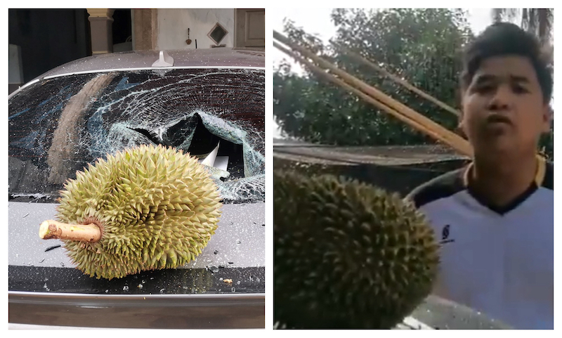 Wan Mahussin showing the durian that smashed his car's windscreen yesterday. u00e2u20acu201d Picture via Wan Mahussin Wan Zain