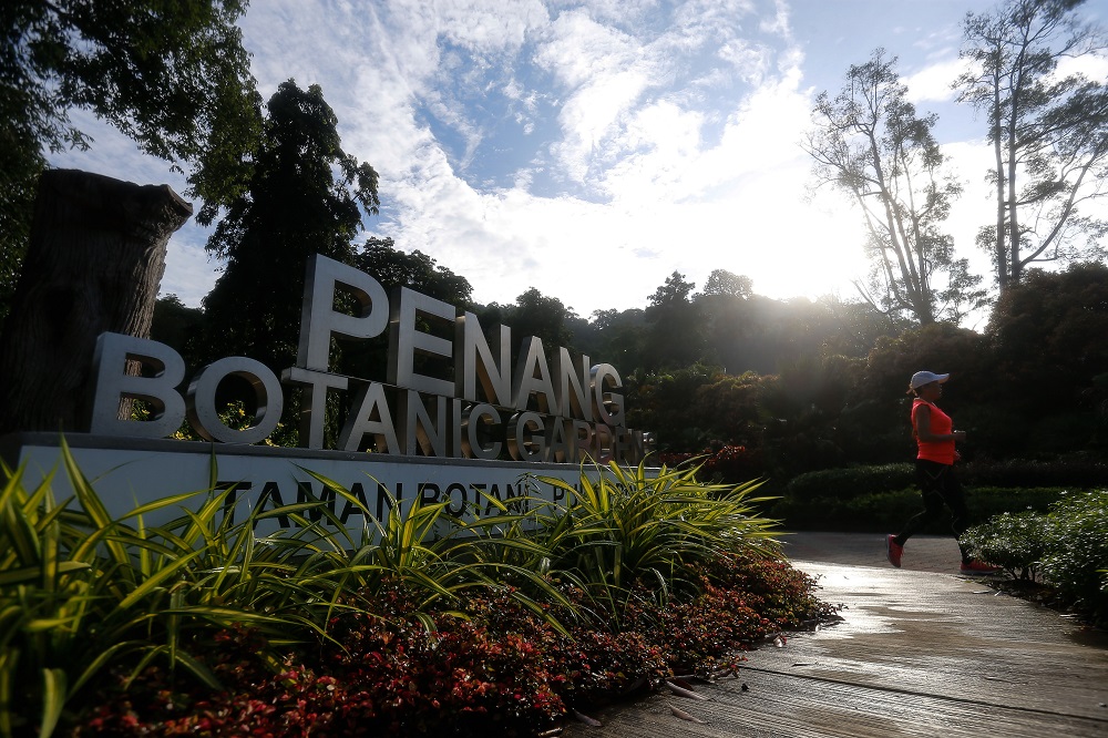 People exercising at the Penang Botanic Garden in George Town July 7, 2021. u00e2u20acu201d Picture by Sayuti Zainudin