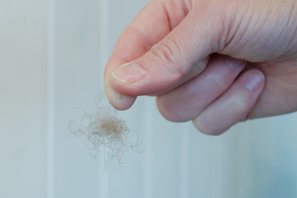 Erla Fridriksdottir, owner and manager of King Eider, holds with two fingers one light and small feather of eiderdown at the King Eider company in Stykkisholmur, Iceland, on July 5, 2021. u00e2u20acu201d AFP pic