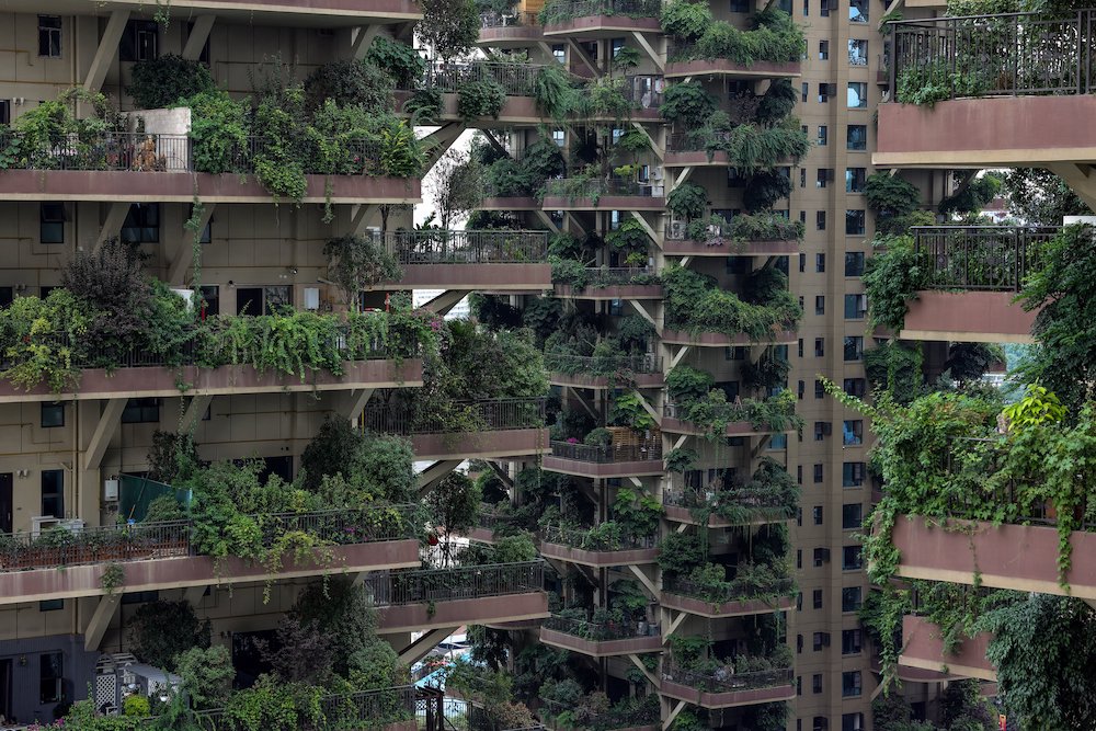 This photo taken on July 12, 2021 shows apartments with balconies covered with plants at a residential community in Chengdu in China's southwestern Sichuan province. u00e2u20acu201d AFP pic