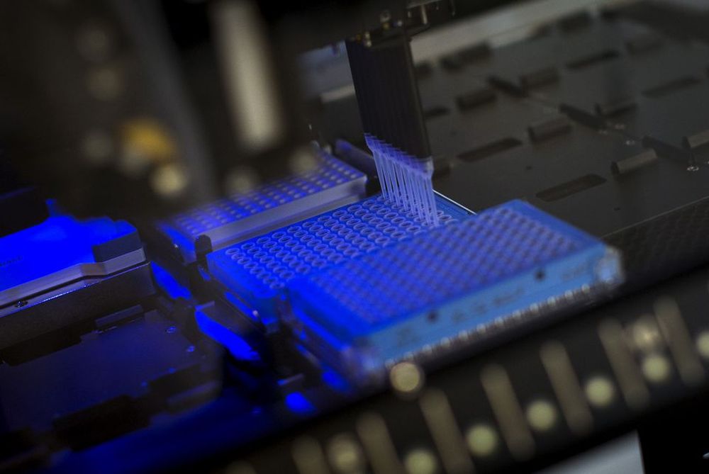 File picture shows a robotic DNA sample automation machine working on DNA samples in Tarrytown, New York, March 24, 2015. u00e2u20acu201d Reuters pic
