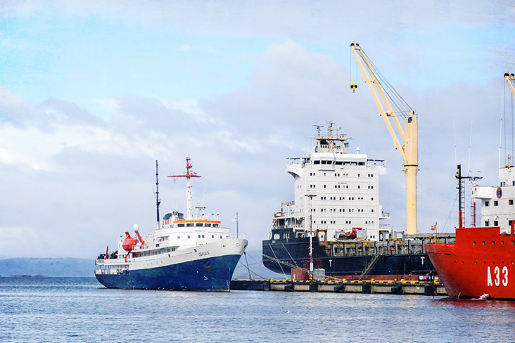 The fish, shrimp and crabs used for empanada fillings arrive daily from fishing vessels.