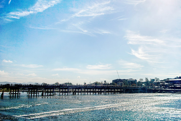 During summer in Japan, 'unagi' or freshwater eels are caught in rivers all over the country.