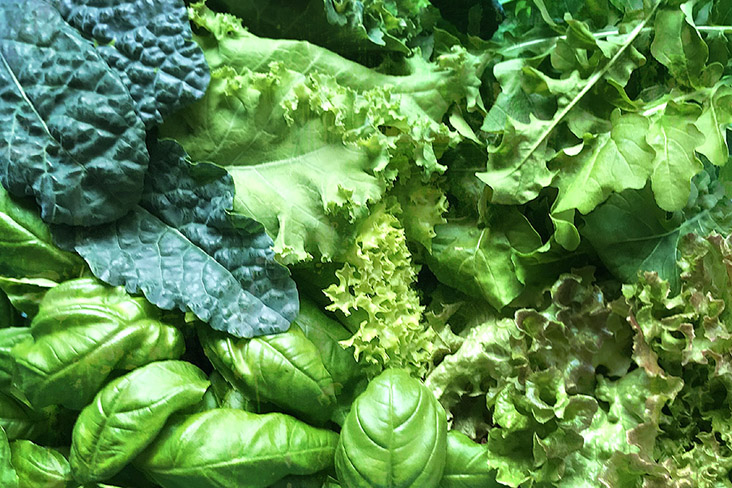 Select from your favourite leafy greens to create the base of your summer salad.