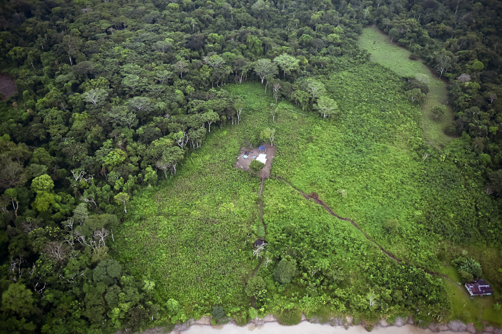 General aerial view of coca field at the Natural National Park in La Macarena, Meta Department, Colombia. u00e2u20acu201d AFP pic