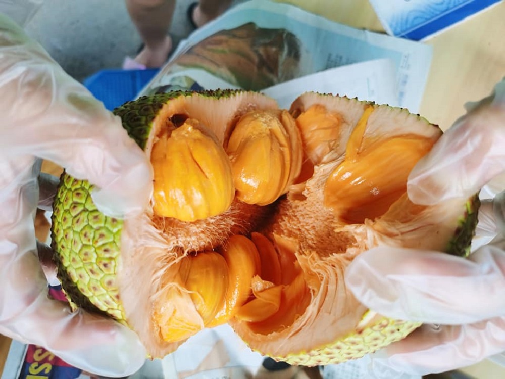Balik Pulau Soon Huat Durian also sells cempedak apart from durians. ― Picture via Facebook/Durian Soon Huat