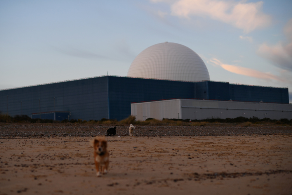 Dogs walk on the beach near Sizewell Nuclear Power Station as the sun sets on Sizewell in Suffolk December 16, 2017. u00e2u20acu201d Reuters pic