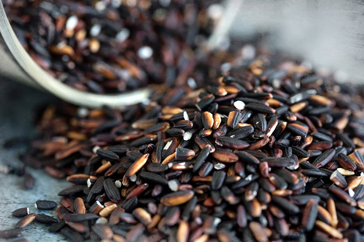Grains of black glutinous rice before cooking.