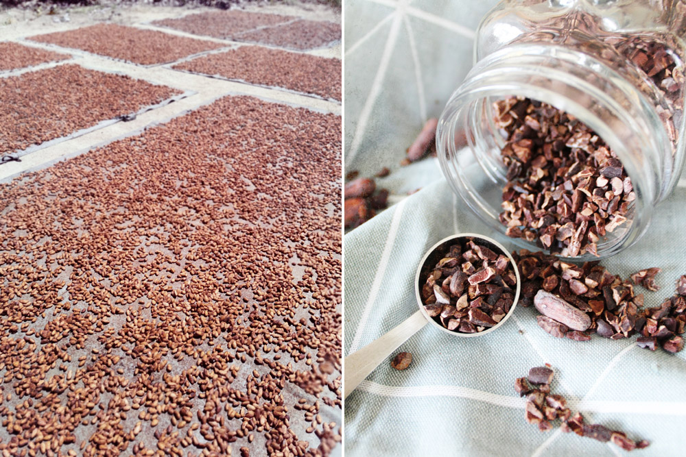 Drying the cacao (left) and raw cacao nibs (right).