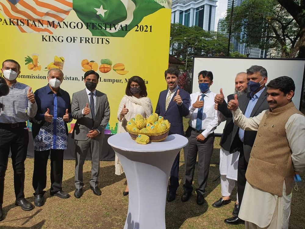 The event, which was part of a series of promotional events including the Pakistani Mangoes Promotion-2021 campaign, was live-streamed throughout East and West Malaysia. u00e2u20acu201d Picture courtesy of High Commission of Pakistan