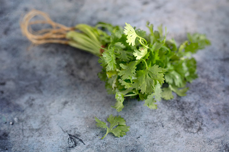 Garnish with cilantro leaves to balance the heady stew with some freshness.