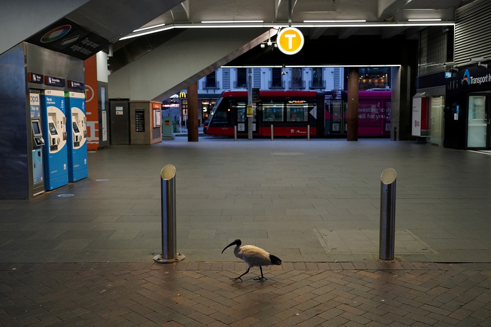 A lone bird walks past the quiet Circular Quay train station during a lockdown to curb the spread of a coronavirus disease outbreak in Sydney, Australia, July 28, 2021. u00e2u20acu2022 Reuters file pic