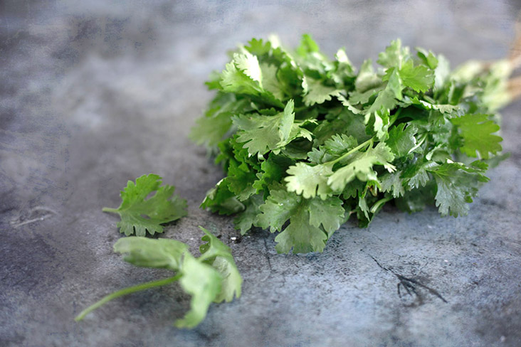 Cilantro imparts a distinctive flavour, not unlike a blend of citrus and parsley.