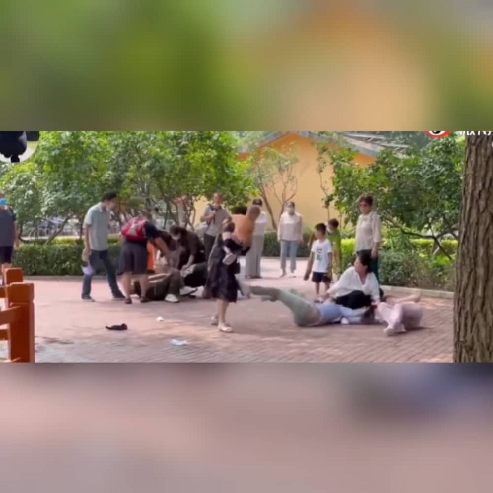 Animals at the Beijing Safari Park fought each other after seeing a group of visitors fighting among themselves earlier in the day. u00e2u20acu2022 Screencapture from YouTube