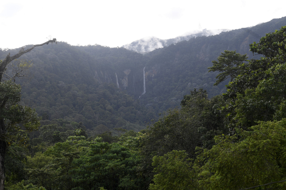 A view of the Seri Terigi waterfall in Gunung Jerai, August 19, 2021. Yan district police chief DSP Shahnaz Akhtar Haji said the 13 employees came down under the supervision of the Public Works Department (JKR) after one lane was opened at 5pm. u00e2u20acu201d Bernam