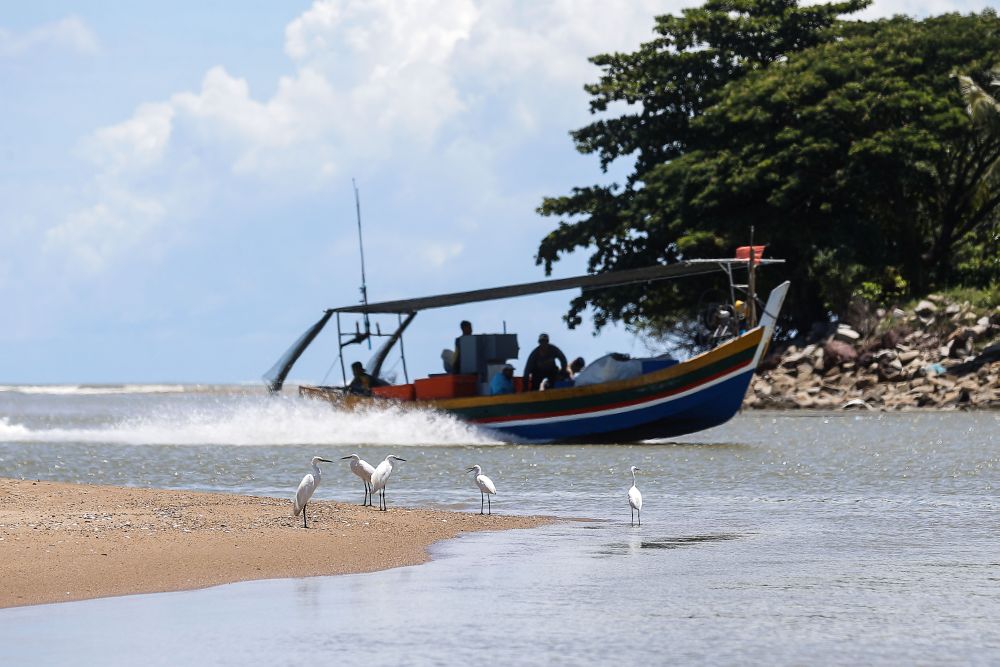 Fishermen return with their catch of the day at the Whispering Fish Market in Penang August 3, 2021. u00e2u20acu2022 Picture by Sayuti Zainudinn