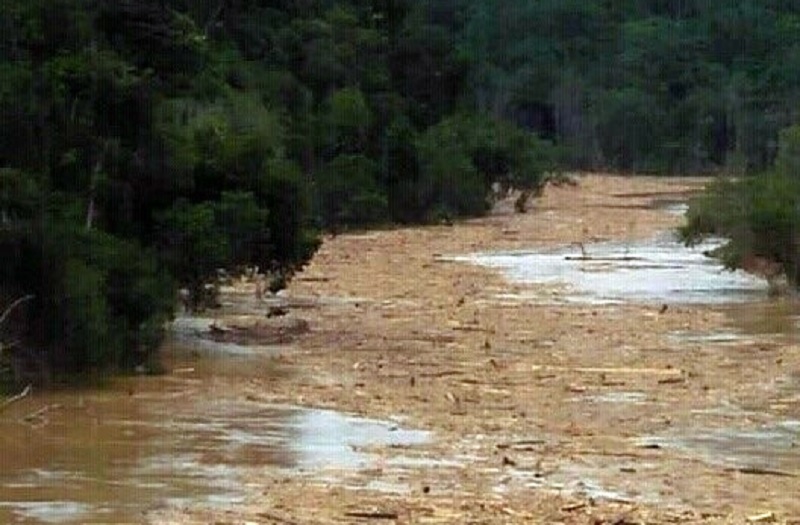 Photo shows the mini logjam that occurred in the Kapit area.  u00e2u20acu201d  Picture via WhatsApp/Koh Kumbong.