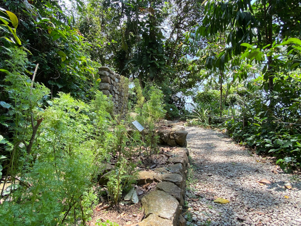 The Tropical Spice Garden is spread out over two hectares with over 500 different types of plants. ― Picture by Steven Ooi KE