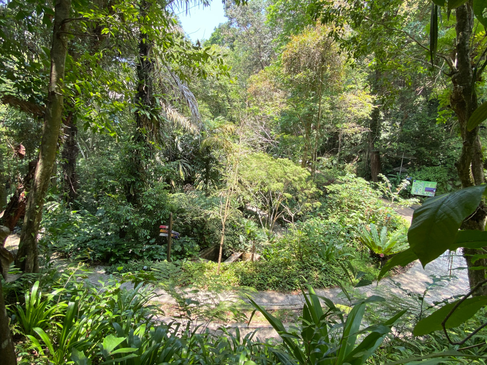 Tropical Spice Garden launched a crowdfunding campaign on August 1 to stay afloat. ― Picture by Steven Ooi KE