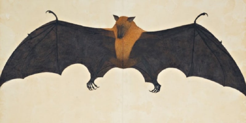 u00e2u20acu02dcA Great Indian Fruit Bat or Flying Foxu00e2u20acu2122 by Bhawani Das will go up for auction at Sothebyu00e2u20acu2122s London. u00e2u20acu201d Picture courtesy of Sothebyu00e2u20acu2122s via ETX Studio