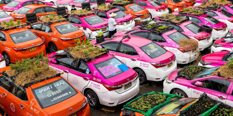 Vegetable gardens are seen on the roofs of vehicles of a taxi rental garage firm, whose cars are currently out of service due to the downturn in business as a result of the Covid-19 coronavirus pandemic, in Bangkok. u00e2u20acu201d AFP pic