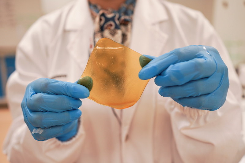 A researcher holds a hydrogel sheet made out of durian husk with yeast phenolics in Singapore September 16, 2021. u00e2u20acu201d Reuters pic