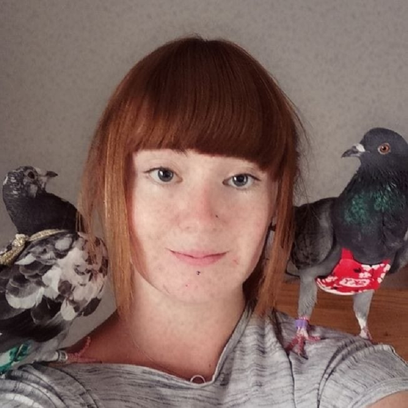 British woman Meggy Johnson hopes to change the negative stereotype of pigeons and show that they are intelligent, sweet animals that make great pets and deserve to be given a chance at life. u00e2u20acu201d Picture via Facebook/Meggy Johnson
