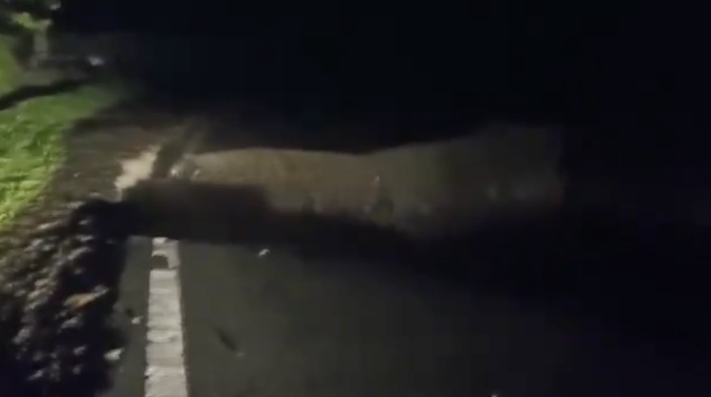 The Tambunan-Kota Kinabalu road has become impassable. u00e2u20acu201d Social media pic