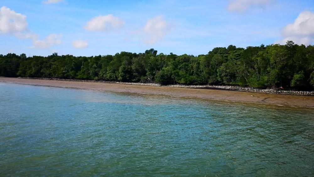 The coastal protection project happening at Pulau Ubin will be similar to the coastal protections along the coastline of Pulau Tekong from 2010. u00e2u20acu201d TODAY picnn