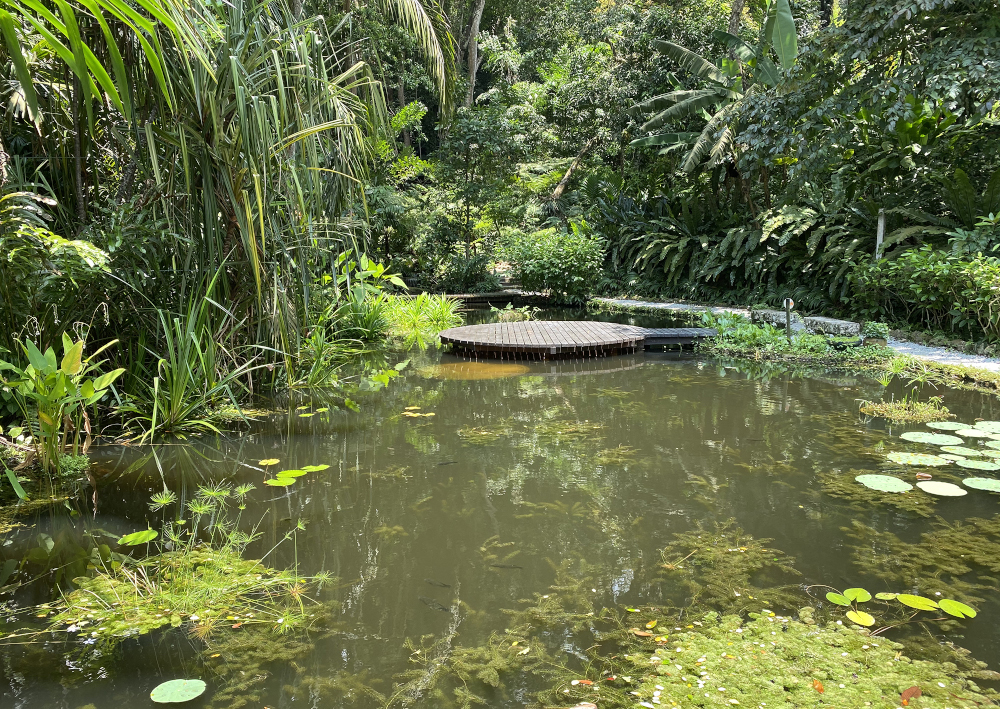 A general view of the Tropical Spice Garden. — Picture by Steven Ooi KE