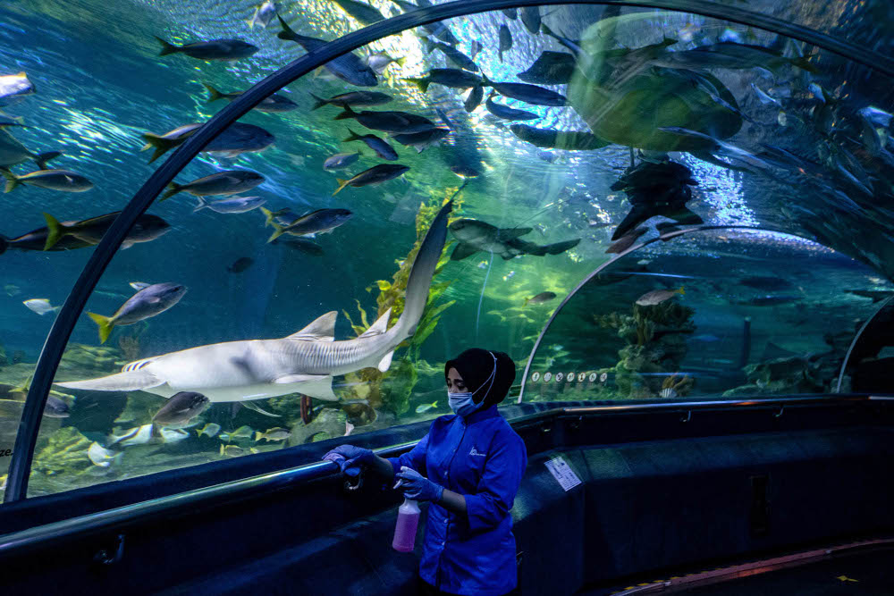 A worker wearing a face mask cleans at Aquaria KLCC before it reopens to the public during Phase Two of the National Recovery Plan in Kuala Lumpur, September 29, 2021. u00e2u20acu201d Picture by Firdaus Latif