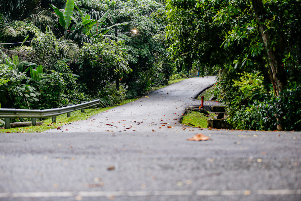 Residents describe Federal Hill as a sizable green lung located in the city centre. ― Picture by Hari Anggara