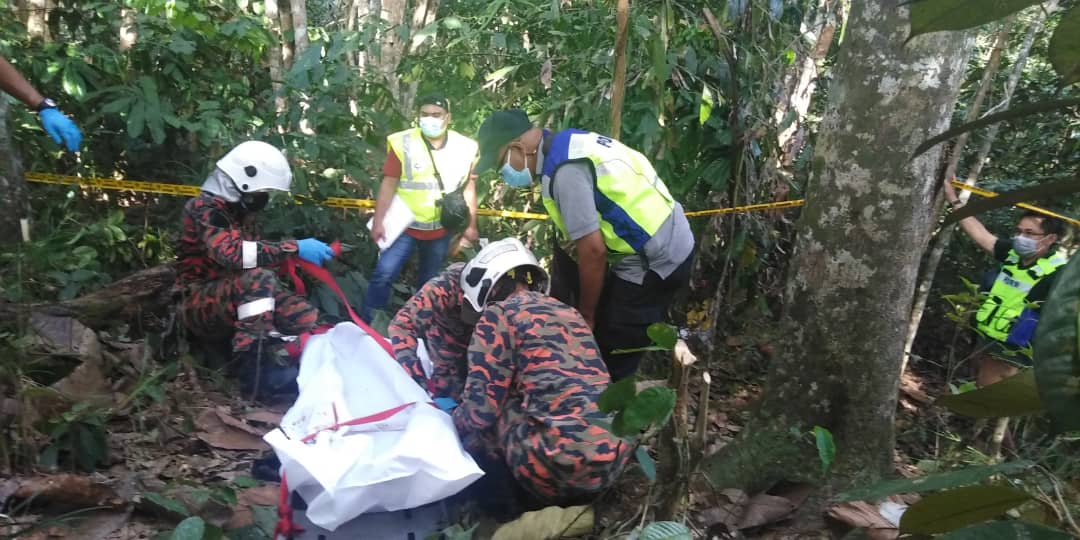 Firefighters and police are seen with the body after it was brought down from the tree. u00e2u20acu201d Picture courtesy of Miri Fire and Rescue Department