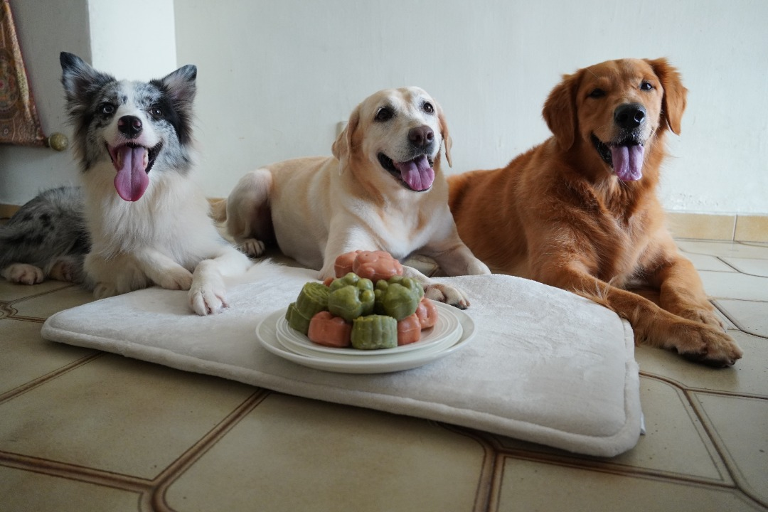 Selangor dog food supplier SY Cheah hopes to raise RM10,000 from a charity mooncake sale to help two no-kill shelters. u00e2u20acu201d Picture courtesy of SY Cheah