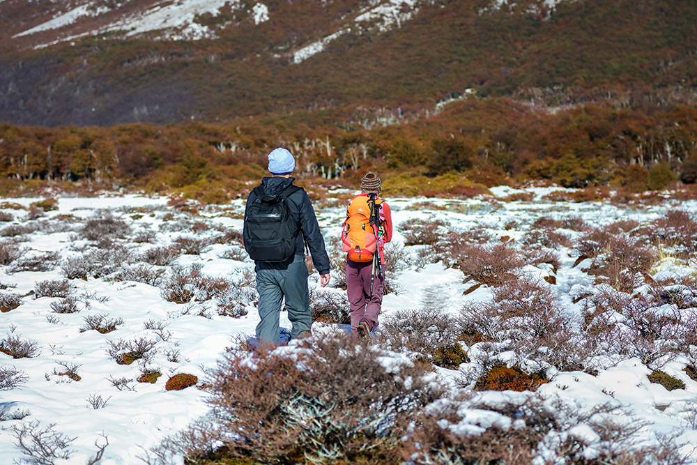 Though the ground is covered with snow, it’s actually autumn (as evidenced by the red foliage).