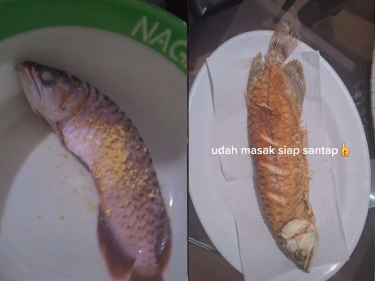 An expensive fish meal. u00e2u20acu201d Screenshot via TikTok/Mia Kurniawan