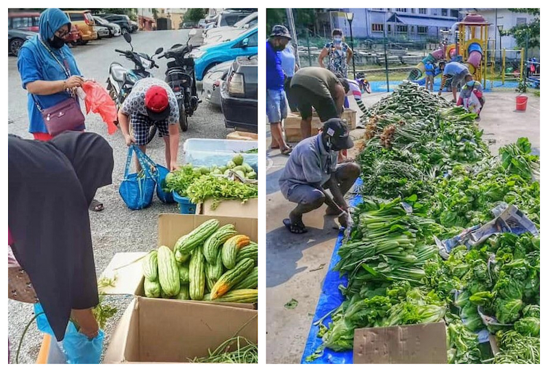 Some B40 communities collecting fresh vegetables that were distributed by TLFP members. u00e2u20acu201d Picture courtesy of Aishwarya Adaikalaraj