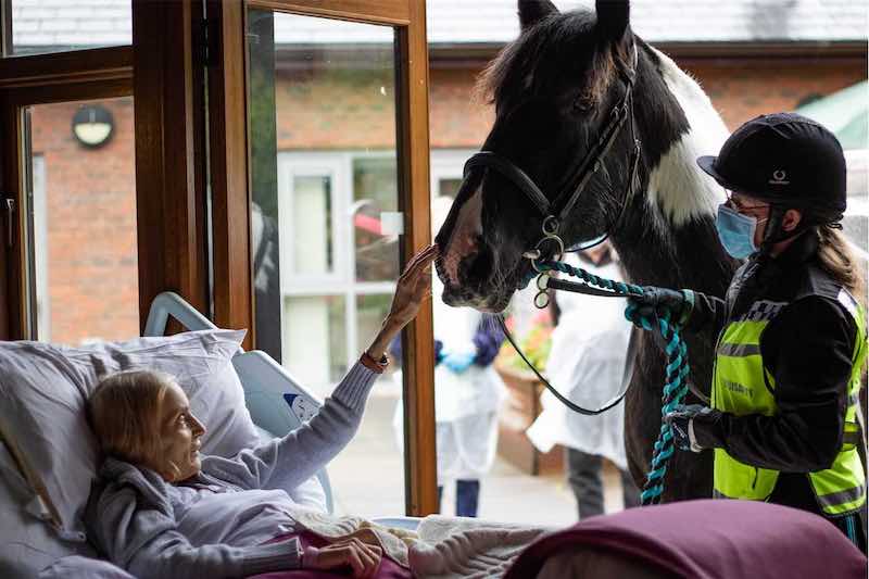 Jan Holman was given the opportunity to say goodbye to her horse Bob as she stays in a hospice. u00e2u20acu201d Picture from Facebook/ Hospice of the Good Shepherd