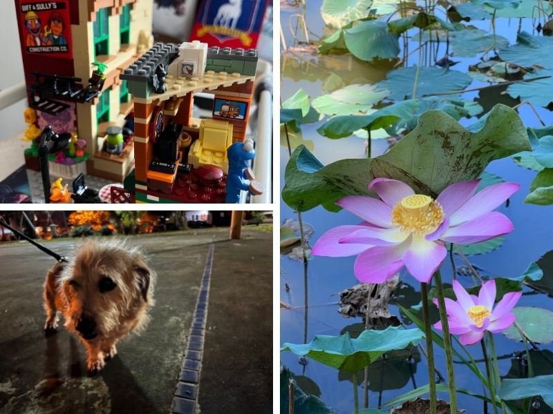 Compared to last year's iPhones, the cameras on the 13 series offer brighter, more detailed shots. — Picture by Erna Mahyuni