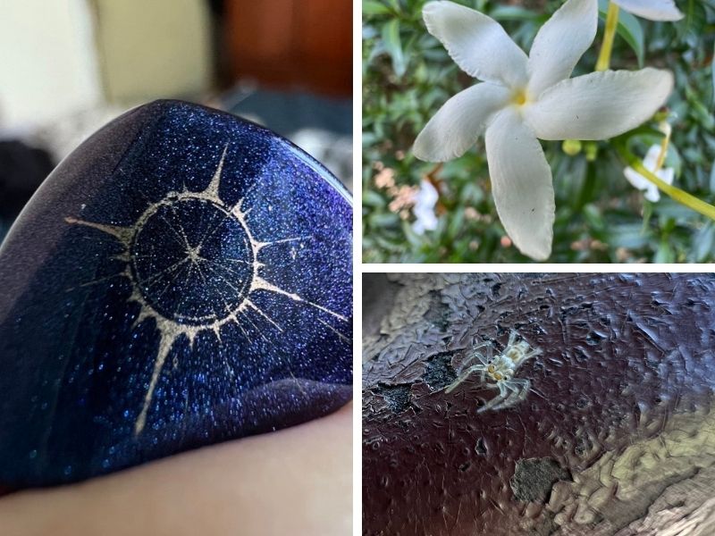 You need a steady hand and patience to make the most out of the new iPhone 13 Pro models camera macro mode. — Picture by Erna Mahyuni