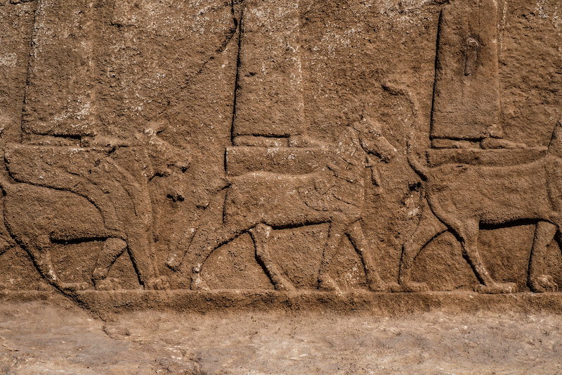 Handout picture shows carvings discovered on the walls of an ancient irrigation canal by a team of Kurdish and Italian archaeologists near Faydeh in the Nineveh area of northern Iraq. u00e2u20acu201d AFP/Terra Di Ninive pic