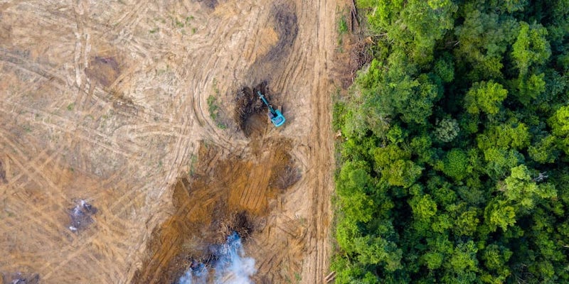 A recent survey by Cornell University of thousands of peer-reviewed studies on climate change found that in more than 99 per cent of them the authors agreed that climate change was caused by humans. u00e2u20acu201d AFP pic