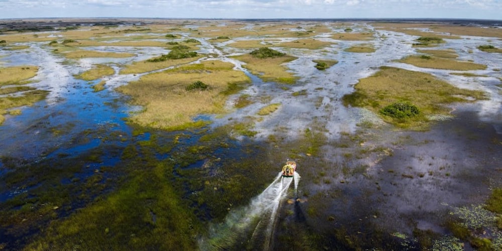 The Everglades, like all of south Florida, is almost flat, which makes the ecosystem extremely vulnerable to rising sea levels, one of the biggest consequences of temperature increases. u00e2u20acu201d ETX Studio picnnn