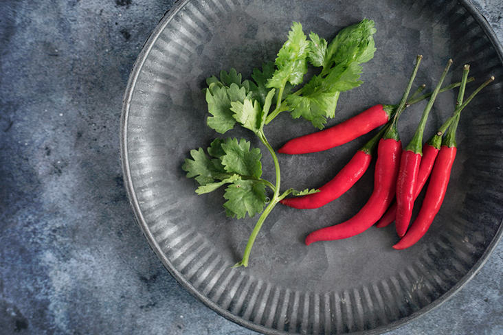 Garnish with cilantro and 'cili padi.'